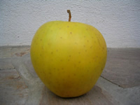 Golden Delicious