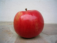 Idared